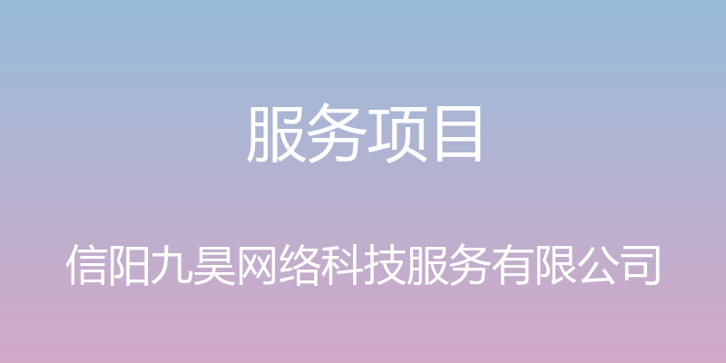 服务项目 - 信阳九昊网络科技服务有限公司